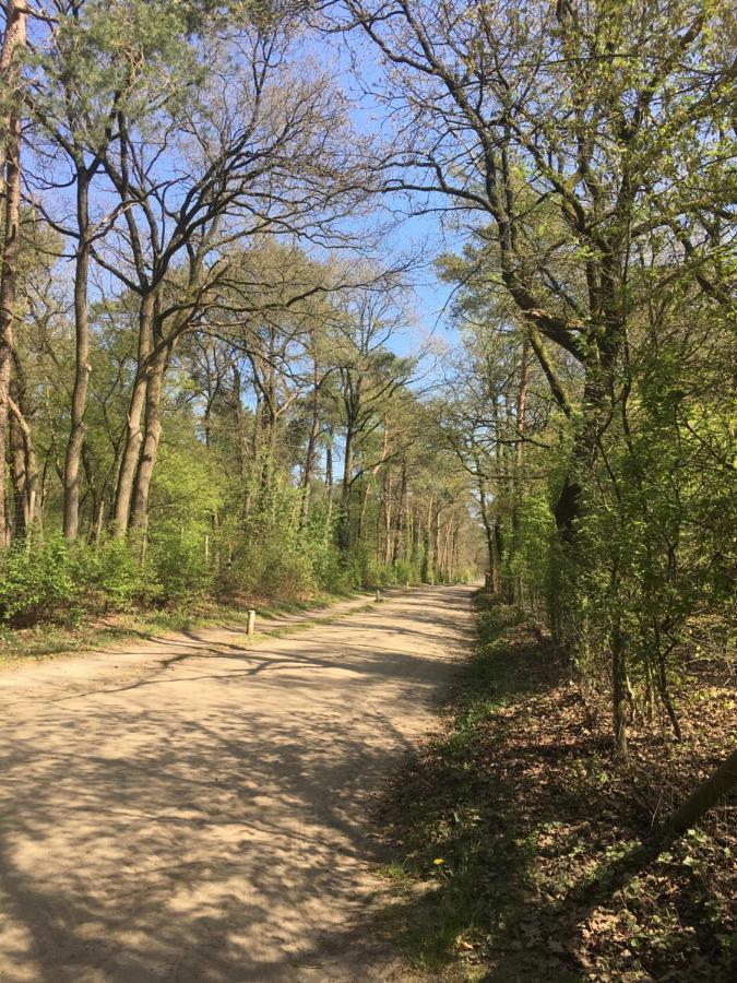 Geschakelde Bungalow Op De Veluwe "De Eekhoorn" Otterlo Εξωτερικό φωτογραφία